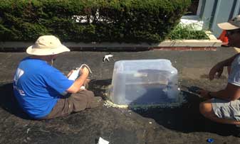 Dynamic Environmental Services Real Estate Services